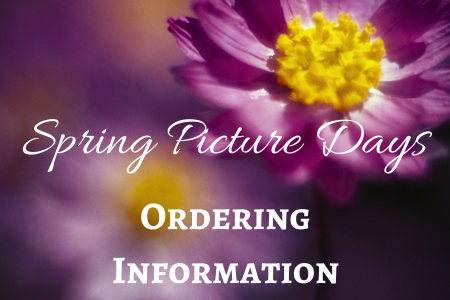  Spring Pictures Ordering Information